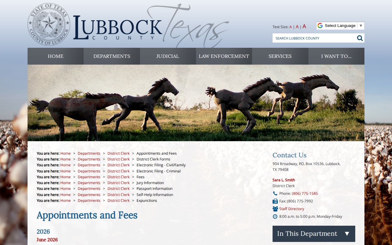 Lubbock County District Clerk archives and criminal records page