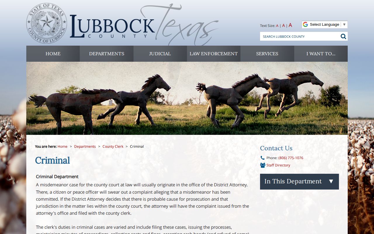 Lubbock County misdemeanor release record access through the County Clerk
