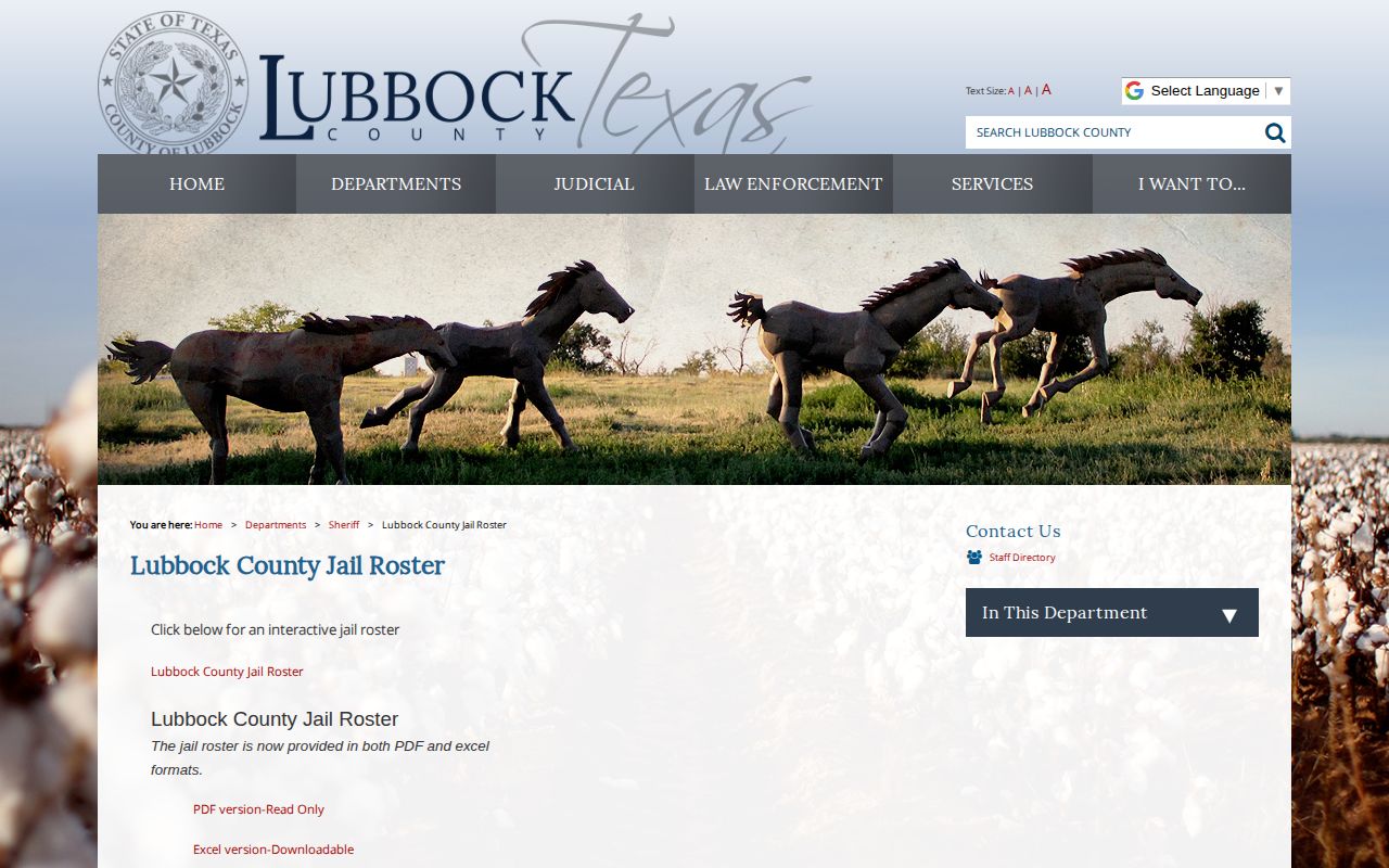 Lubbock County released inmate search starting at the current jail roster gateway