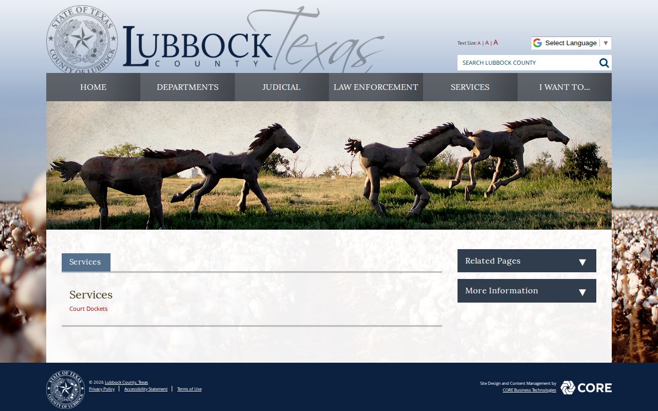 Lubbock County felony release record access through the District Clerk